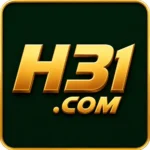 H31