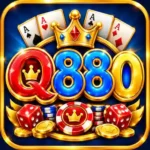 q880